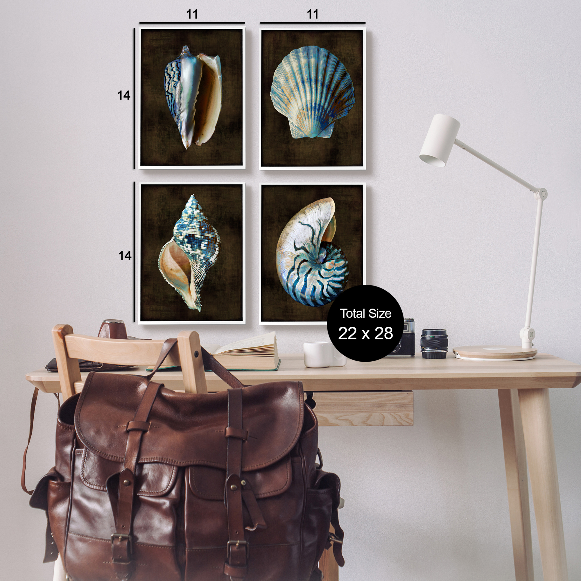 Stupell Industries Dark Maritime Seashells Animals & Insects Painting White Framed Art Print Wall Art, 11 x 14, Set of 4