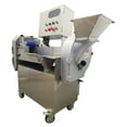 thumbnail image 5 of Techtongda Fruit and Vegetable Slicing Shredding Dicing Double Head Variable Frequency Vegetable Cutter, 5 of 13