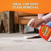 Krud Kutter Instant Carpet Stain Remover Plus Deodorizer, 32 oz