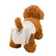 thumbnail image 1 of Simple Solution Nuevos pañales para perros True Fit para perras ~ Perrera súper absorbente xxs (cintura recomendada 14 - 28 cm) 10 tabletas / paquete, 1 of 5