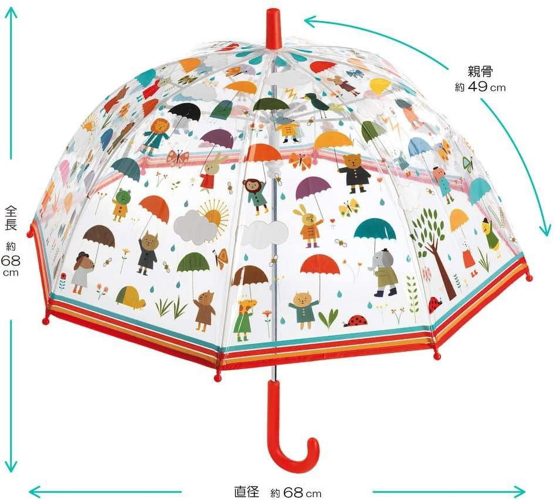 Umbrella Under the Rain