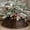 B, variant on Christmas Tree Skirt Christmas Tree Rings Christmas Tree Stand Base Cover Decoration Christmas Tree Collar