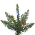 thumbnail image 2 of Vickerman 54" Sapin de Noël Artificiel en Sapin de Durango Multicolore en Vert, 2 of 2