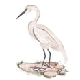 thumbnail image 3 of Wang, Melissa 15x18 Black Modern Framed Museum Art Print Titled - A White Heron I, 3 of 5