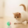 thumbnail image 4 of 18 Pieces Plastic Cat Toy With Inside Toys Lattice Jingle Cat Pounce Rattle For Cat Exercise And Play Indoor, 4 of 4