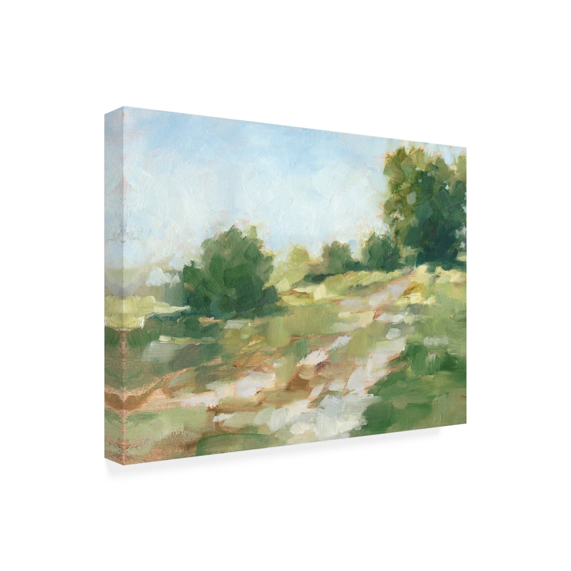 Trademark Fine Art 'Beaten Path II' Canvas Art by Ethan Harper