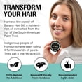 Spoild Raw Batana Oil For All Hair Types 2 Oz 60 Ml 3 Pack Walmart spoild-raw-batana-oil-for-all-hair-types-2-oz-60-ml-3-pack-walmart