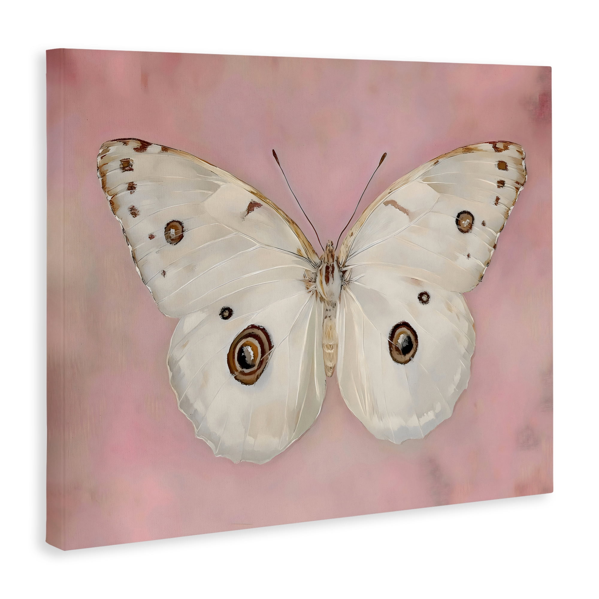 Stupell Industries Gossamer Butterfly on Blush Background Canvas Wall Art, design by Arlington Prints