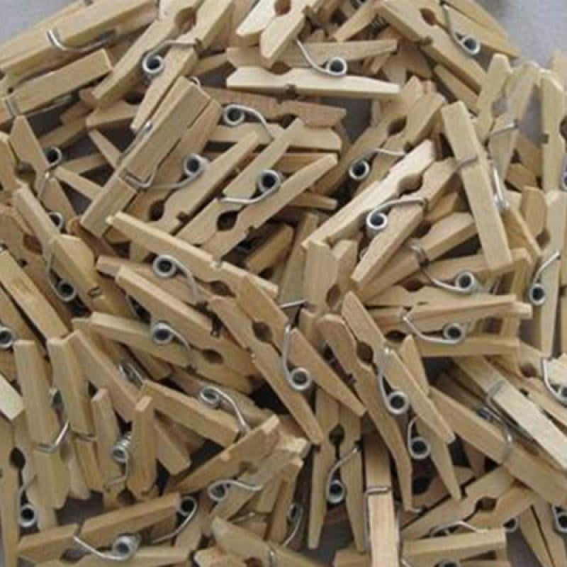 SUNXIN 50 Craft Wooden Mini Pegs