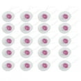 thumbnail image 1 of Mantos de lámpara de Queroseno universales de 20 Piezas, Manto de Linterna de Gas de Doble Cabeza para Acampar, Senderismo, luz de Queroseno EOTVIA NO, 1 of 6