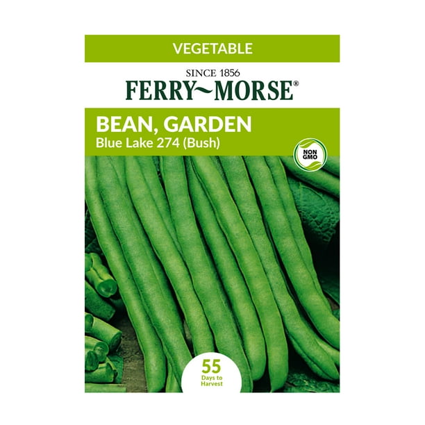 FerryMorse 12G Bean, Garden Blue Lake 274 (Bush) Vegetable Plant Seeds