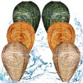 thumbnail image 1 of Señuelos de nido de avispas falsos yeacher a prueba de agua, 1 of 7