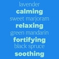 thumbnail image 4 of Plant Therapy KidSafe Essentials Blend Set 100% Pure, Undiluted, Natural Aromatherapy, KidSafe Essential Oils for Calming, Sleep, and Immune Support, 10 ml (1/3 oz) Each, 4 of 9