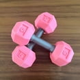 thumbnail image 7 of BESTSKY 2026 New Dumbbells for Children Kids Hand Weight Lifting Set Funny Weights Fitness Toddler Home Gym Exercise Barbell Workout Equipment Kindergarten Sport Toys, 7 of 7