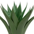 thumbnail image 5 of Northlight Real Touch™️ Artificial Green Agave Americana Succulent Potted Plant - 26", 5 of 8