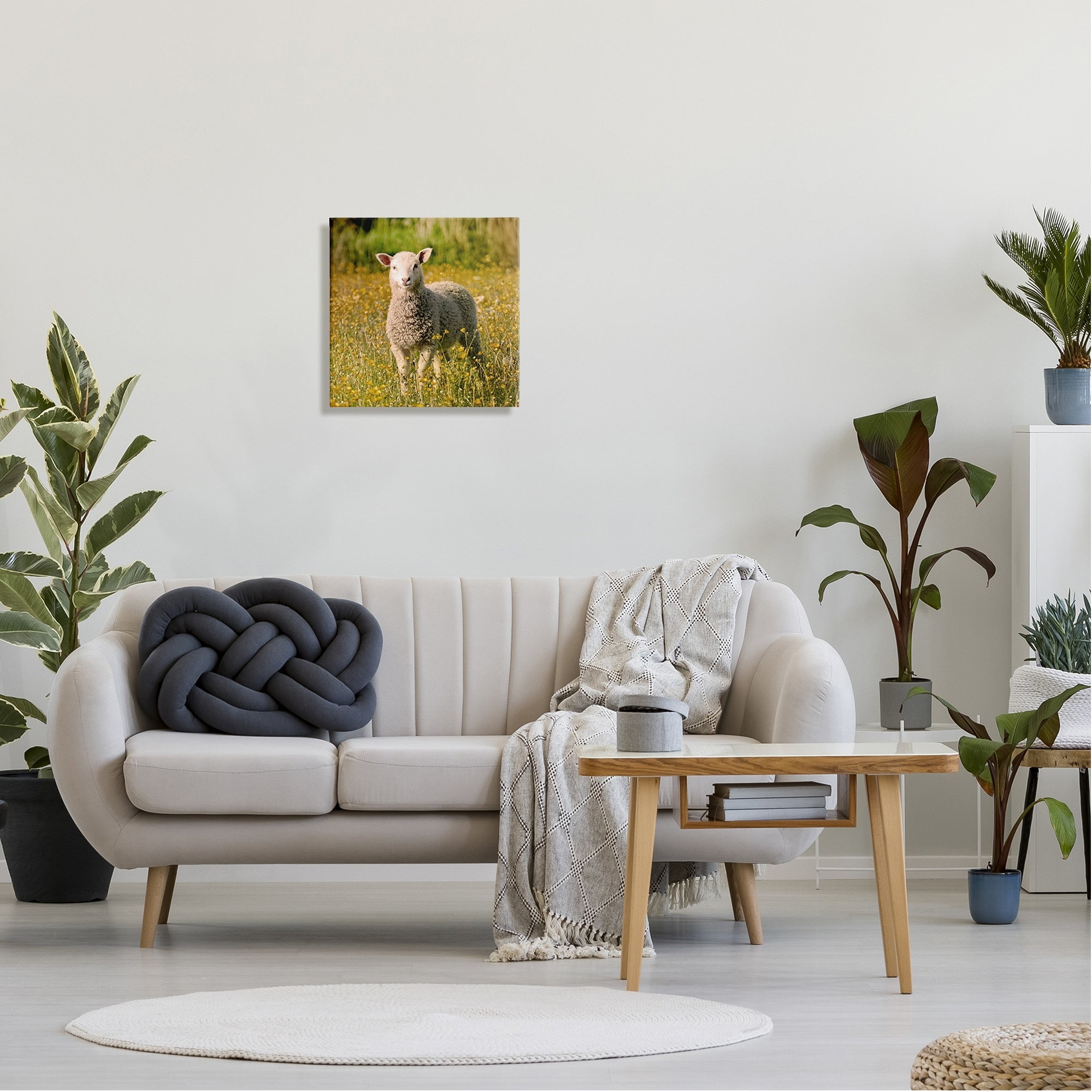 Stupell Industries Alert Baby Lamb Gazing Yellow Wild Flower Blossoms Photograph Gallery Wrapped Canvas Print Wall Art, Design by Daphne Polselli
