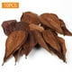 thumbnail image 1 of Hoja De Almendra 10 Uds. Tanque De Hojas De Almendras Naturales Tratamiento De Agua Terminalia Catappa Hojas, 1 of 3
