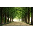 thumbnail image 2 of Seo, Tiger 18x12 Gold Ornate Wood Framed with Double Matting Museum Art Print Titled - Metasequoia Road, 2 of 4