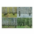 thumbnail image 1 of Landscape Cutting Board, Pathway in Woodland Birch Tree Jungle in the Fall Winter Spring Summer Season, Decorative Tempered Glass Cutting and Serving Board, Small Size, Green White, by Ambesonne, 1 of 1