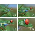 thumbnail image 3 of Polaroid Optics 62mm 4-Piece Filter Kit Set for Close-up Macro Photography; Includes +1, +2, +4 & +10 Diopter Filters & Nylon Carry Case – Compatible W/ All Popular Camera Lens Models, 3 of 3
