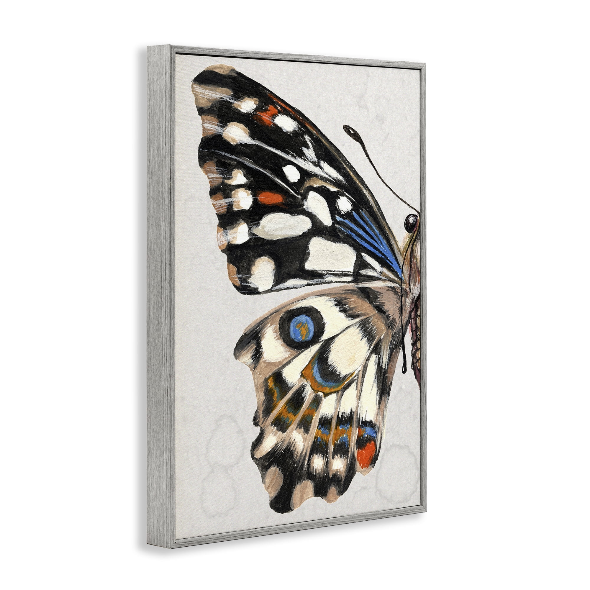 Stupell Industries Spotted Butterfly Wing Animals & Insects Painting Gray Framed Art Print Wall Art, 20 x 30
