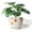 Yellow, variant on Gray Flower Pots,Texture Planter for Indoor Plants Set of 3 Ceramic Flower Pots with Saucer,Cute Garden Pots Succulent Pots(3 Pack,Gray)