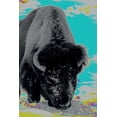thumbnail image 1 of Buffalo: Compact 2019 Organizer Daily Weekly and Monthly Calendar Planner for Animal Lovers, 1 of 1