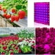 thumbnail image 1 of Luz de LED Luz de de pntas LED completa reguble para todas de s pntas 169 LED Macarena luces de cultivo de interior, 1 of 8