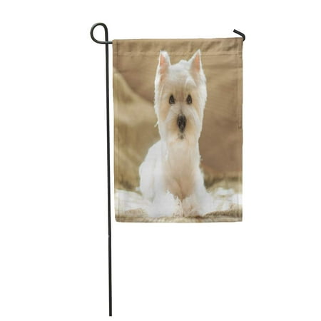 LADDKE Dog West Highland White Terrier Portrait Adopt Begging Garden Flag Decorative Flag House Banner 12x18