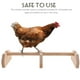 thumbnail image 2 of BRIGHTFUFU Percha de madera para pollo, gallo, percha de madera, barra para posar pájaros, percha de pie para gallina, 2 of 8