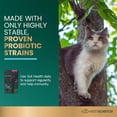 thumbnail image 2 of VetriScience Everyday Gut Health Chews for Cats, Duck, 60 Count, 2 of 7