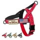 thumbnail image 1 of Arnés para perros Annchwool sin tirones con mango acolchado suave rojo XL, 1 of 7
