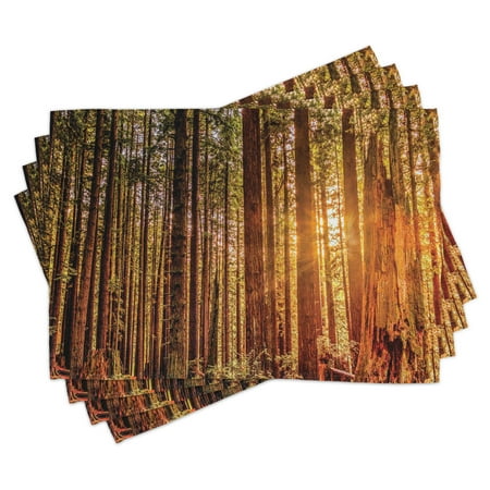 

United States Placemats Set of 4 Tall Trees Red Woods Forest Humboldt California Sequoia Picture Washable Fabric Place Mats for Dining Room Kitchen Table Decor Orange Dark Brown Green by Ambesonne
