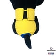 thumbnail image 5 of Barkertime Neon Yellow Dog Diaper, 5 of 6