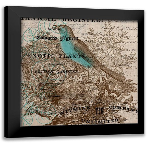 Jordan, Elizabeth 12x12 Black Modern Framed Museum Art Print Titled - Bird Botanical 5