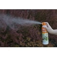 thumbnail image 2 of Ortho Home Defense Backyard Mosquito & Bug Killer Area Fogger 16 oz., 2 of 3