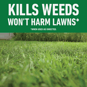 Roundup For Lawns Northern Formula Weed Killer - Single Pack — Residential Use, Standard Application