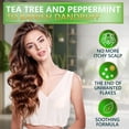 thumbnail image 2 of Set de champú y acondicionador Naturavis Tea Tree Oil Mint, 2 of 8
