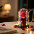 thumbnail image 5 of Qoosea Eternal Rose in Glass Dome with LED Lights, Mothers Day Gifts for Mom, Red Rose Forever Flowers Valentine Gift for Girlfriend, Birthday Gifts, 5 of 8