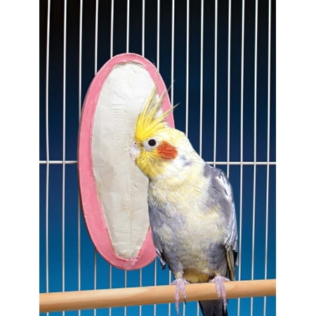 Cuttlebone Treat - Penn-Plax BA653 Cuttlebone and Mineral Bird Treat, 4-1/4 Inch Length x 1 Inch Width x 9 Inch Height, Banana / Berry, 1.09 lb Each