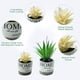 thumbnail image 3 of 2 uds simulación suculentas bonsái adornos creativos plantas artificiales en maceta flores falsas plantas verdes, 3 of 6