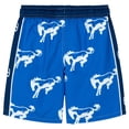 thumbnail image 2 of Ford Bronco Swim Trunks Bathing Suit UPF 50+ Newborn to Big Kid, 2 of 3