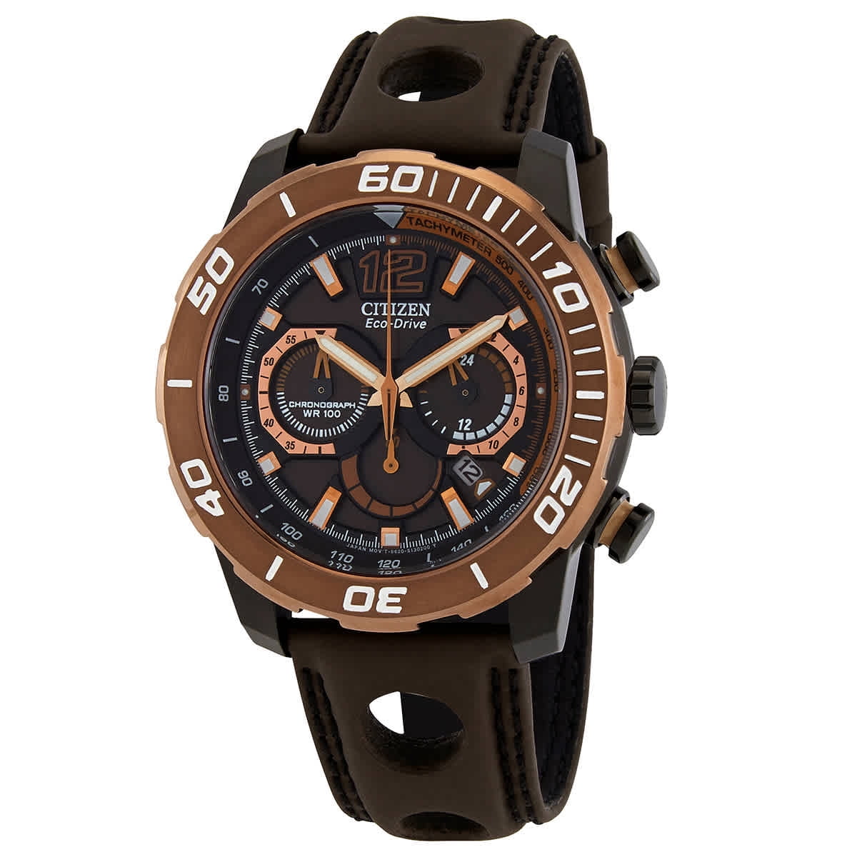 Citizen primo deals stingray