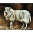 thumbnail image 2 of Edmunds, Sydney 14x12 White Modern Wood Framed Museum Art Print Titled - Have Ewe Any Wool, 2 of 4