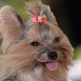 thumbnail image 4 of 30 bandas elásticas navideñas para el pelo de mascotas, para perros y cachorros (estilo variado), 4 of 6
