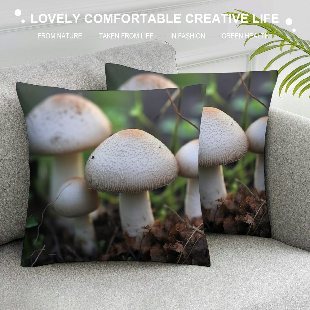 Gotuvs Throw Pillow Cover- Mushroom Agaricus White Fungus Fungi Nature ...