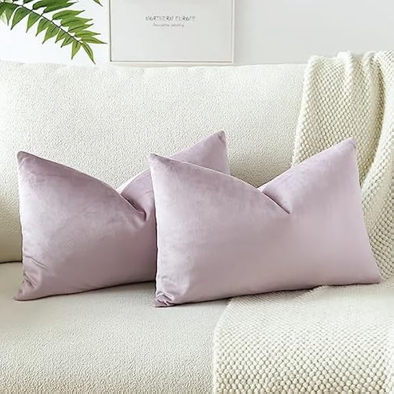 Eryueer Set of 2 Velvet Soft Solid Cushion Covers 30x50 cm Decorative Throw Pillow Covers Soft Lumbar Cushion Case Couch Home Decor Throw Pillow Cases for Sofa Bedroom 12x20 Inch (Lilac)
