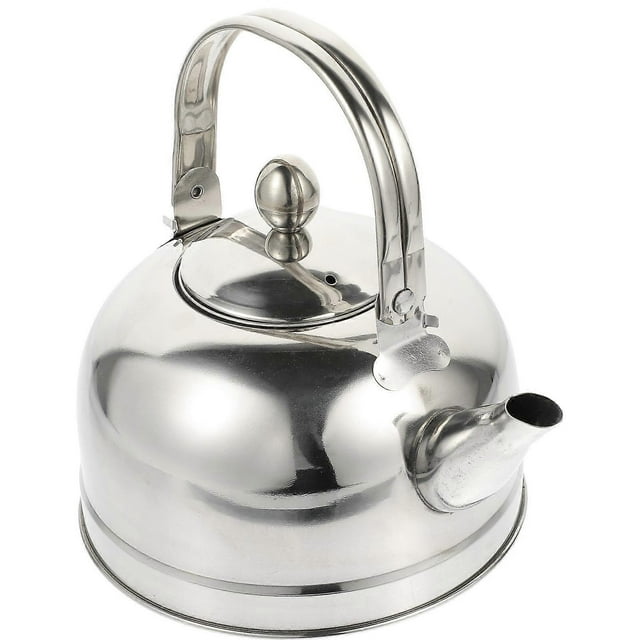 Stovetop Teapot Stainless Steel Water Kettle Kitchen Use Silver Filtering Tea Leaves 1Pack