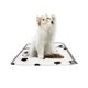 thumbnail image 1 of onlyliua Ofertas Del Día Liquidación Prime Canadá Manta para Perros, Manta para Mascotas, para Perros Grandes, Gatos, Funda Protectora para Sofá, Lavable a Máquina, 1 of 6