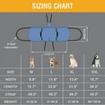 thumbnail image 5 of Dog Carry Sling, Emergency Backpack Pet Legs Support & Rehabilitation Dog Lift Harness for Nail Trimming, Dog Carrier for Senior Dogs Joint Injuries, Arthritis, Up and Down Stairs(XL, Blue), 5 of 5